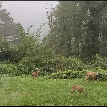 Tiny Housse Serenity Avec Jacuzzi Tinlot