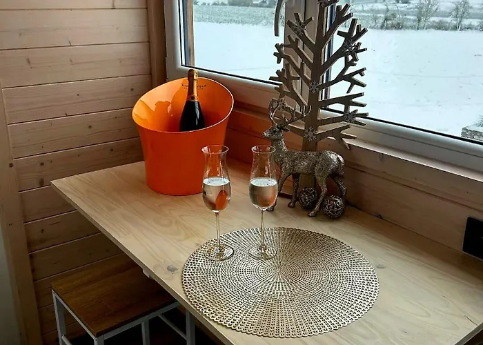 Tiny Housse Serenity Avec Jacuzzi Et Piscine Tinlot