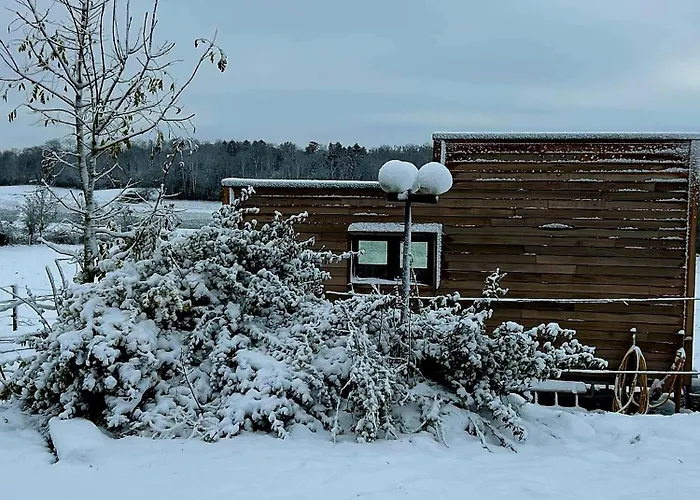 Tiny Housse Serenity Avec Jacuzzi Et Piscine Tinlot