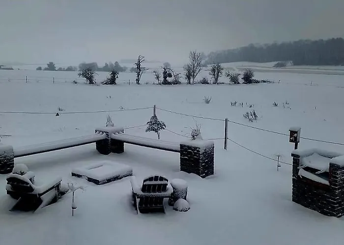 Tiny Housse Serenity Avec Jacuzzi Et Piscine Domek letniskowy Tinlot